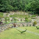 라온카페 이미지