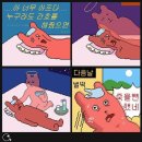 매일크리스마스 네이버블로그