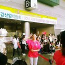 제주관광대학교 이미지