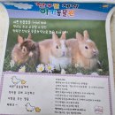 행복미소 동물약국 | 일산동물원 찾는다면 여기! &#34;찬우물&#34; 체험 동물농장 아이랑 체험 후기