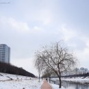 철산교 | [서울/구로구] 안양천 산책 한 바퀴 (철산교 ~ 광명대교 ~ 사성교)