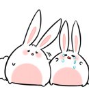 원광대학교 대전치과병원 이미지