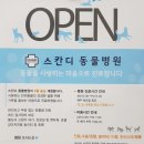 스칸디동물병원 이미지