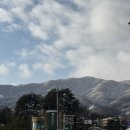 그린텔 | [평창 그린텔] 평창 휘닉스파크 가성비 숙소 추천후기
