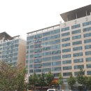 분당-295 이미지