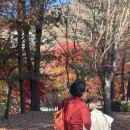 (주)파스 | 엄마의 애장템된 손가락 파스 연골 재생 패치 후기