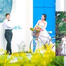 까사보니따 스튜디오 이미지