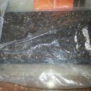 경북농업기술원 영양고추시험장 이미지