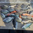 바다속펜션 이미지