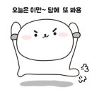 예천렌탈고소작업대전문