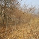 주천면무릉보건진료소 이미지