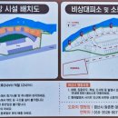 도화지오토캠핑장 이미지