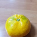 순덕이네왕갈비