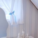 설향이야기 이미지