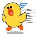 샛별플라워 이미지