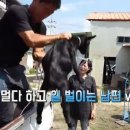 산양카센타 이미지