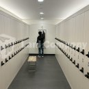 발렌스 스포츠센터 이미지