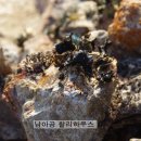에델바이스민박 - 청도군 신원3길 7 | 에델바이스민박