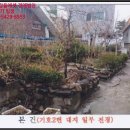 내곡동281 이미지