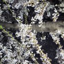 우리슈퍼 이미지