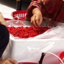 드림농장 이미지