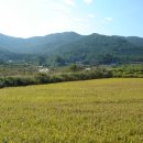 양사낚시터 이미지