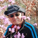 목동기원 Daum카페