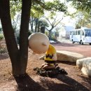 인성카서비스 | 제주 겨울 여행, 특별한 선택: 기사 포함 렌터카 완벽 활용 가이드