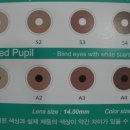 검안아이케어안경 네이버블로그