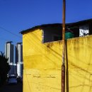 동서대로 이미지