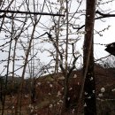 호랭이농장 이미지