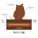 아울