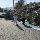 가평 양떼목장 이미지