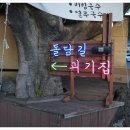 괴기집
