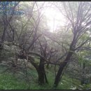 폐기물처리시설 삼거리 이미지