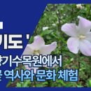 무궁화화원