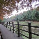 봉암동행정복지센터 족구장 | 취사가능한공원 피크닉시민공원 총정리 주차 입장료 무료 고양 서울근교 무료 주말나들이 단풍절정 일산...