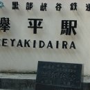 원시로4 이미지