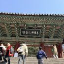 (주)미디어로그 | 경주 2박3일 가족여행 코스 총정리｜금요일 오후 갑자기 떠난 현실 루트 공개