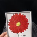 풀솜할머니 이미지