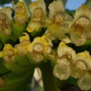 광택농장 이미지