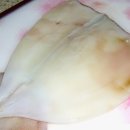 노랑오징어 이미지