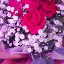 카페브로시스 이미지