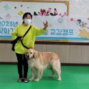 왕지초등학교 병설유치원 이미지