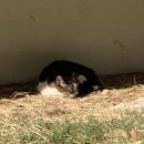 주형카센타 | 꽉꽉 채운 11월 일기 🧚🏻‍♀️