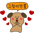 헤어리움 이미지