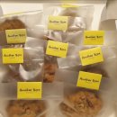 ANOTHER BOM 이미지