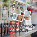 빈코리아 | 수원 매탄동 맛집 사우스코리아버거 수제버거 포장 후기