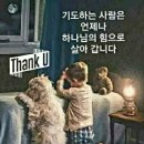 잭슨빌 이미지