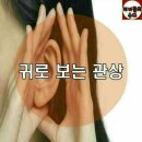 귀로 보는 관상 이미지